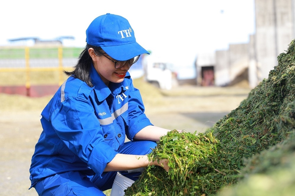 Tap doan TH duoc vinh danh 'Noi lam viec tot nhat chau A' hinh anh