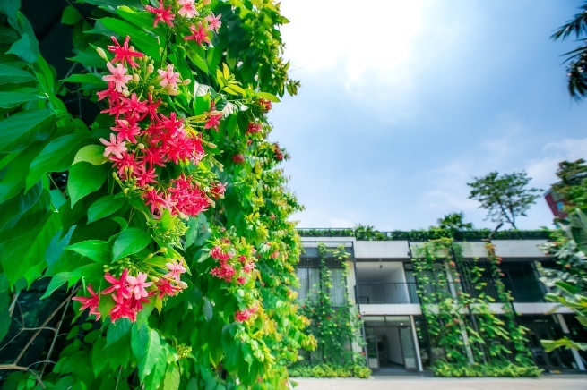 Noi lam viec tot nhat chau A 2021,  VPS anh 2