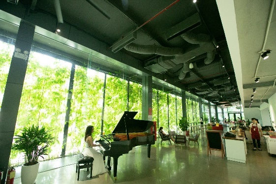 Noi lam viec tot nhat chau A 2021,  VPS anh 7