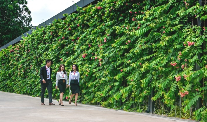 Noi lam viec tot nhat chau A 2021,  VPS anh 8