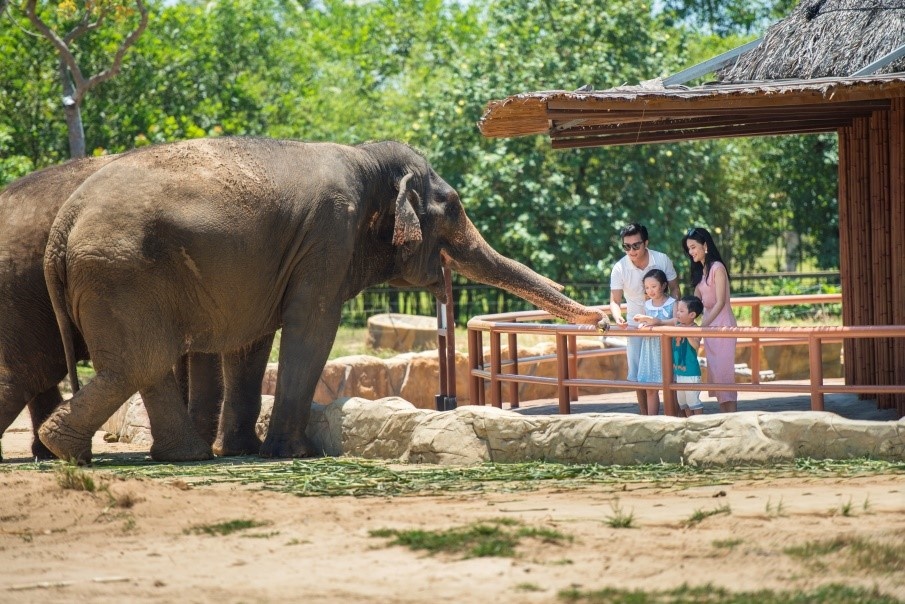 thế giới hoang dã ảnh 3 the gioi hoang da anh 3