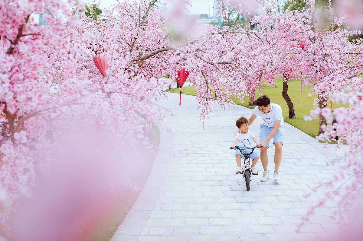 Vinhomes Smart City,  du an phia tay Thu Do anh 1