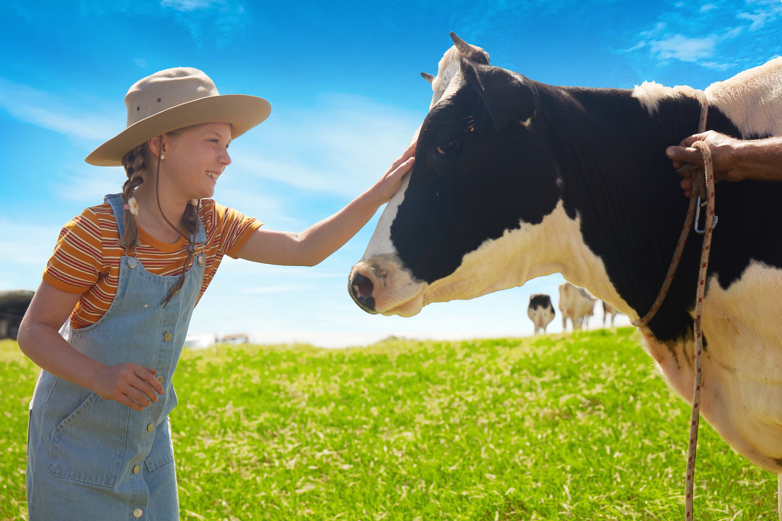 Yeu to lam nen chat luong sua Australia va New Zealand hinh anh