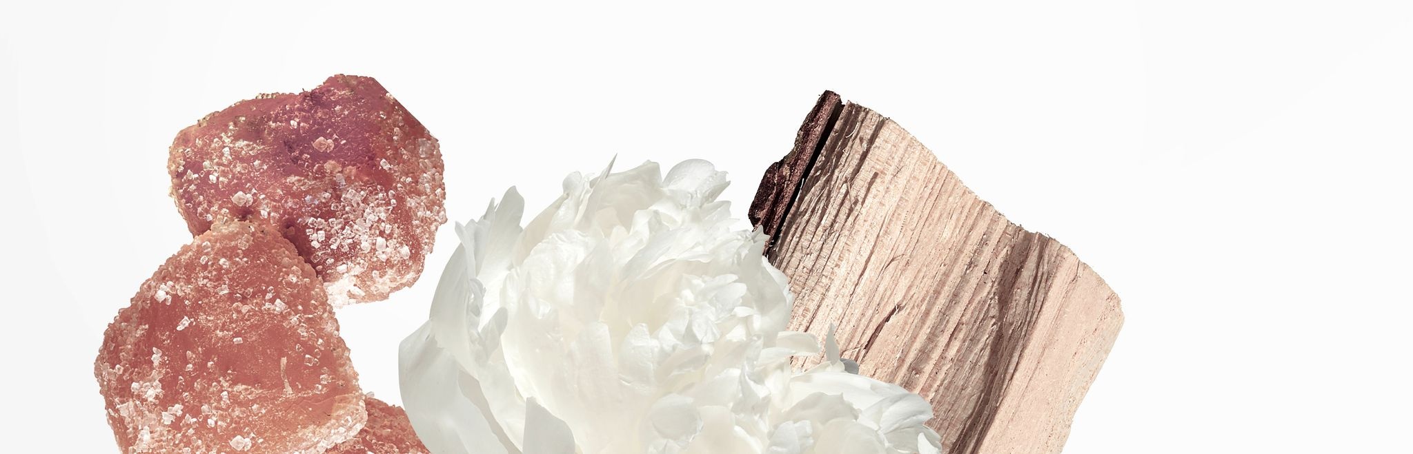 Twilly d’Hermes Eau Ginger,  Hermes anh 3