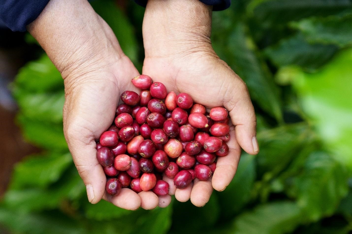 Touliver album moi anh 2