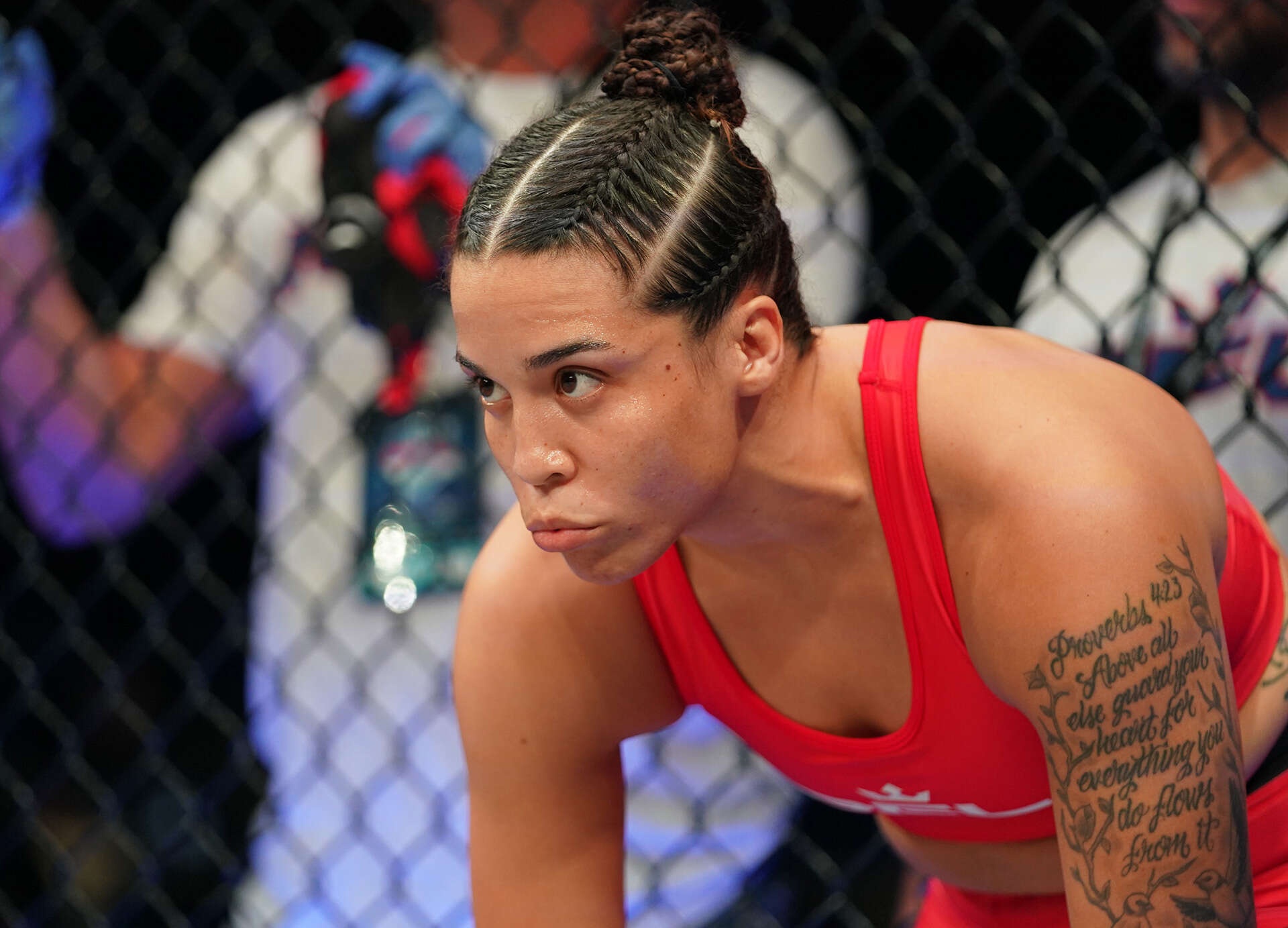 PFL,  Truyen hinh FPT anh 2