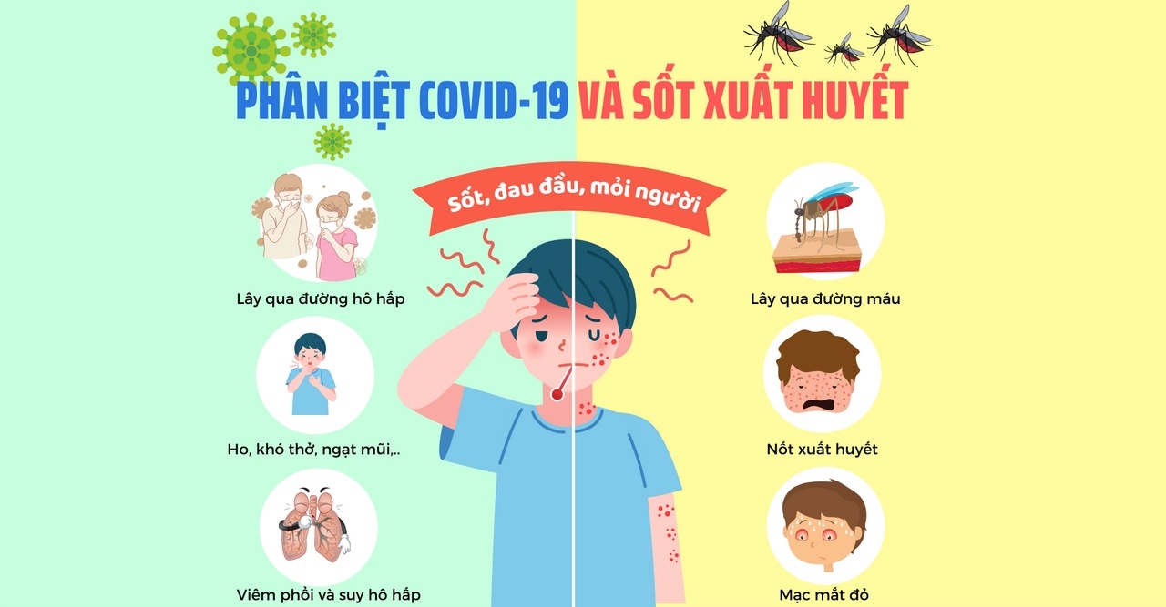 Duoc Hau Giang anh 1