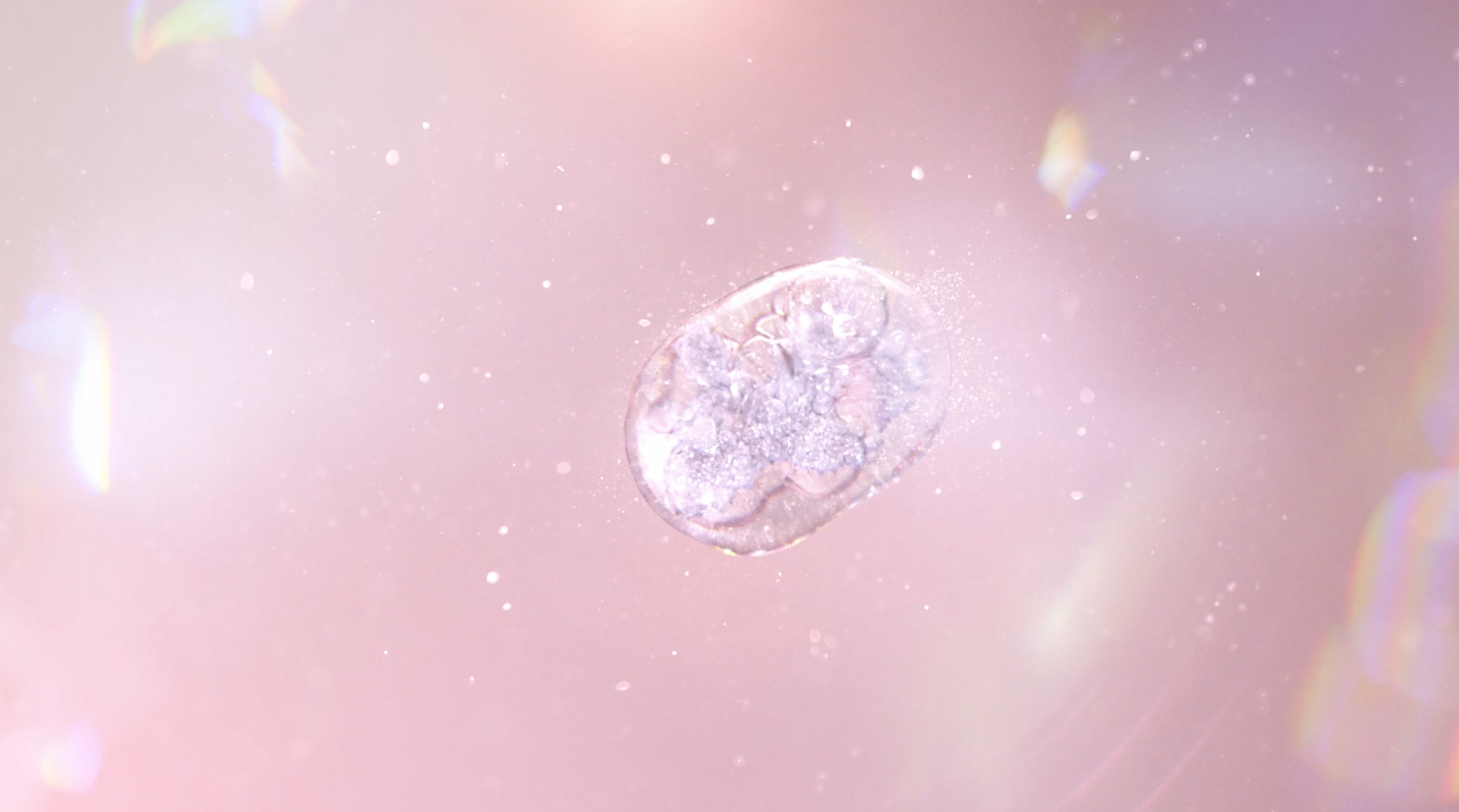 công nghệ beauty microbiome ảnh 3 cong nghe beauty microbiome anh 3