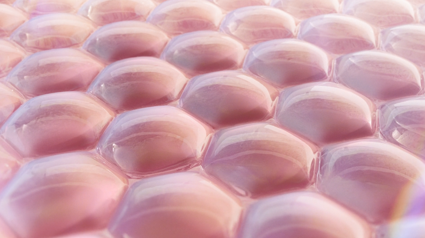 công nghệ beauty microbiome ảnh 2 cong nghe beauty microbiome anh 2