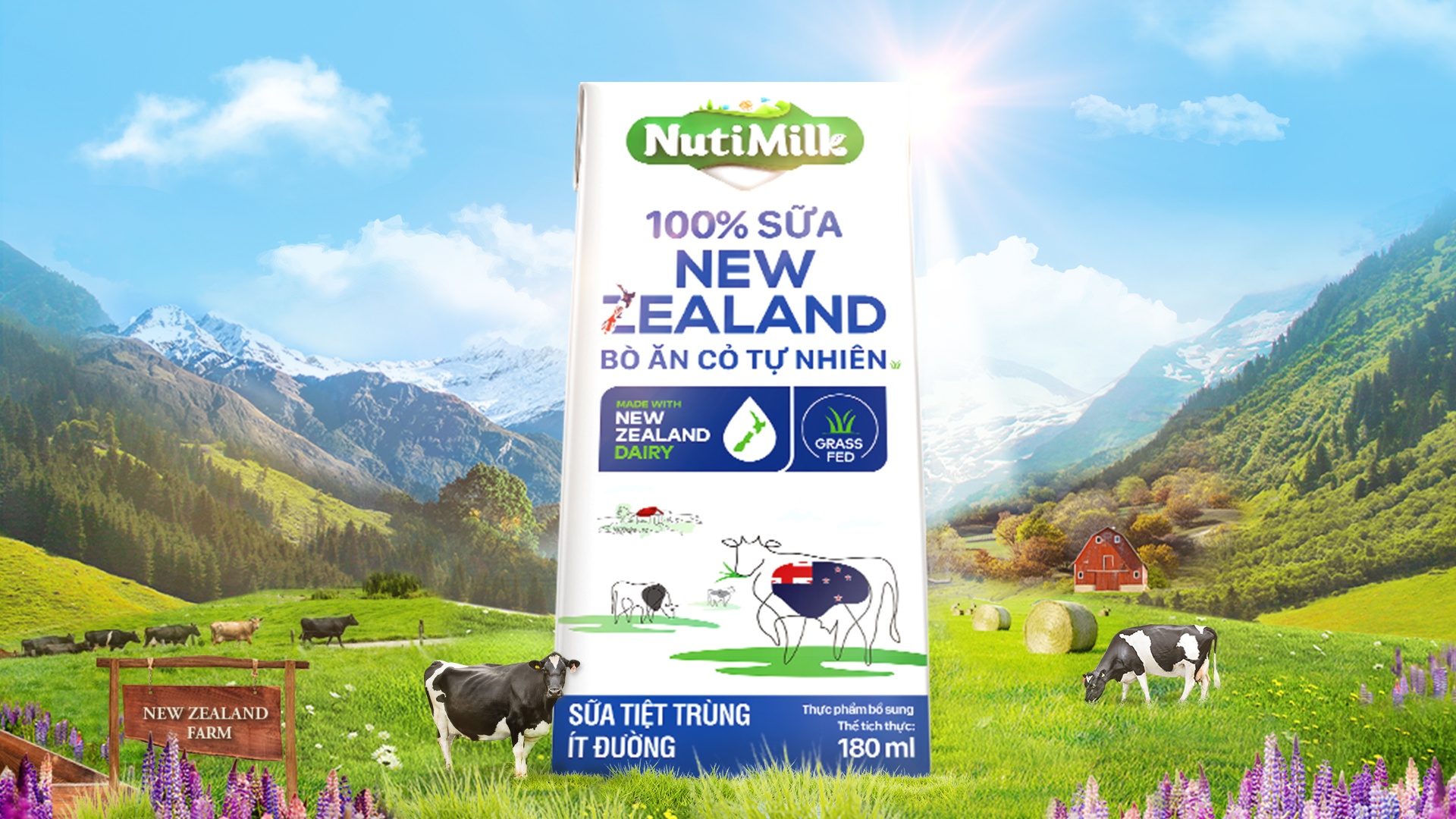 sua tu bo an co tu nhien,  NutiMilk 100% Sua New Zealand anh 3