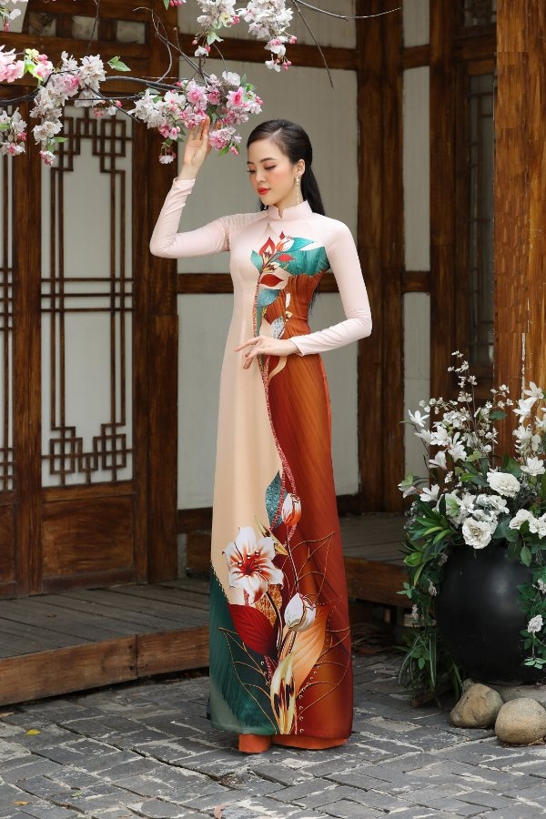 Thái Tuấn  ảnh 1 Thai Tuan anh 1