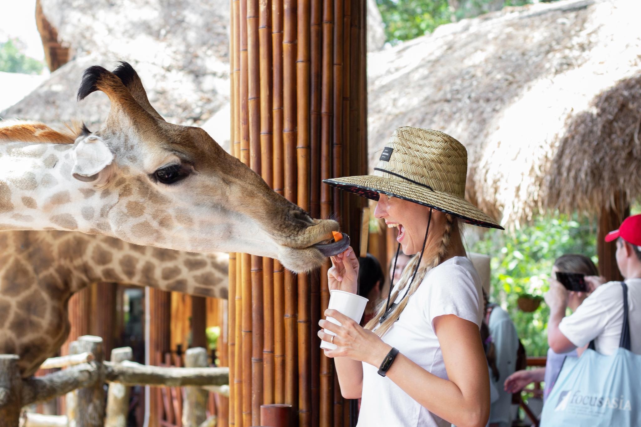 Traveloka cung Kien Giang quang ba du lich Phu Quoc toi khach quoc te hinh anh