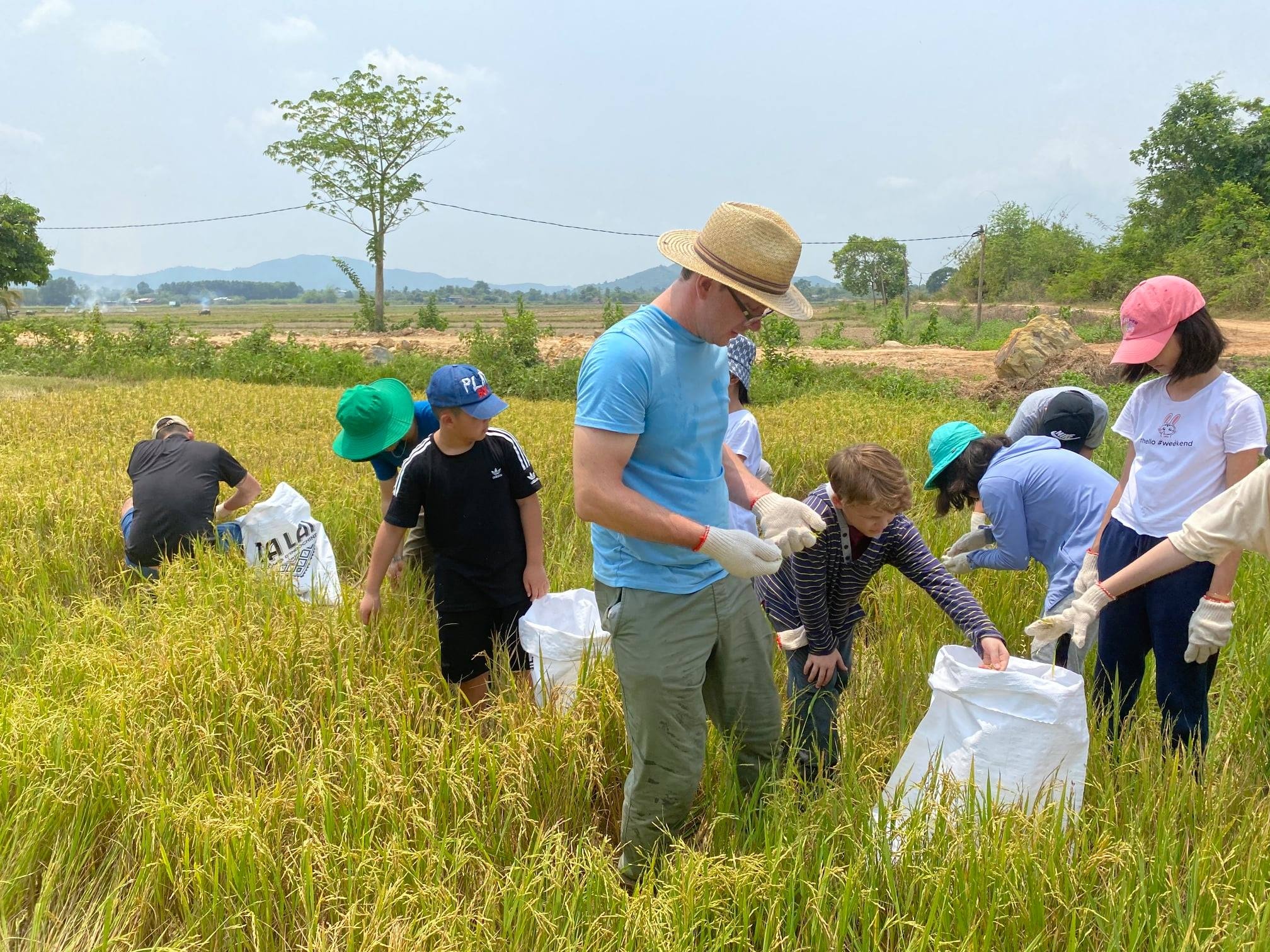 truong quoc te,  truong Mam non va Tieu hoc Quoc te Saigon Pearl anh 1