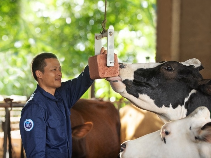 Hanh trinh 150 nam phat trien cua tap doan sua FrieslandCampina hinh anh