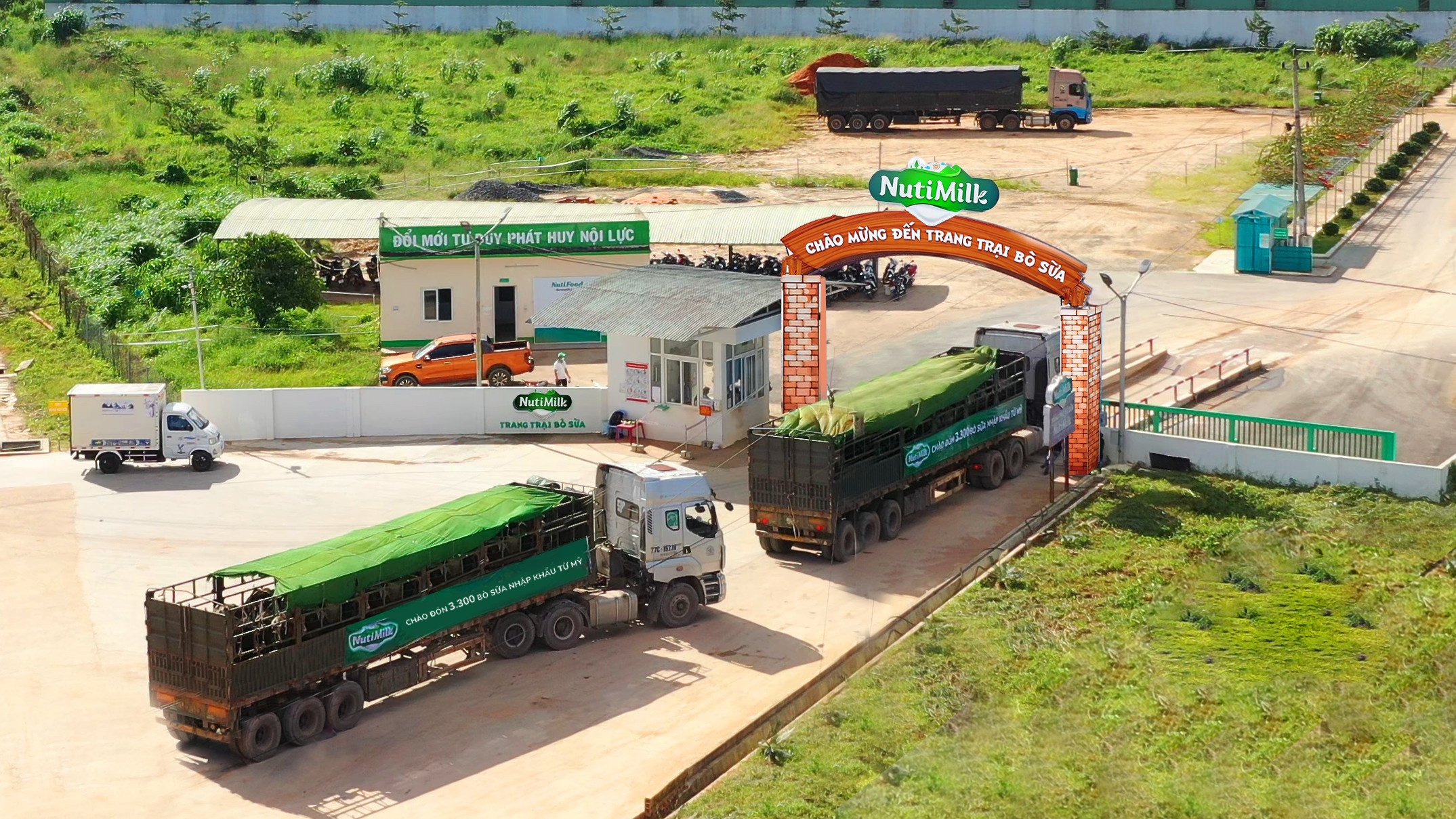 Nutifood,  trang trai bo sua NutiMilk anh 1