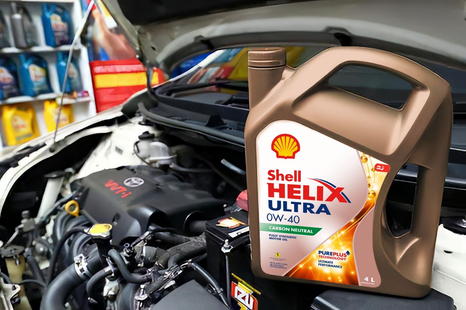 Shell Viet Nam anh 2