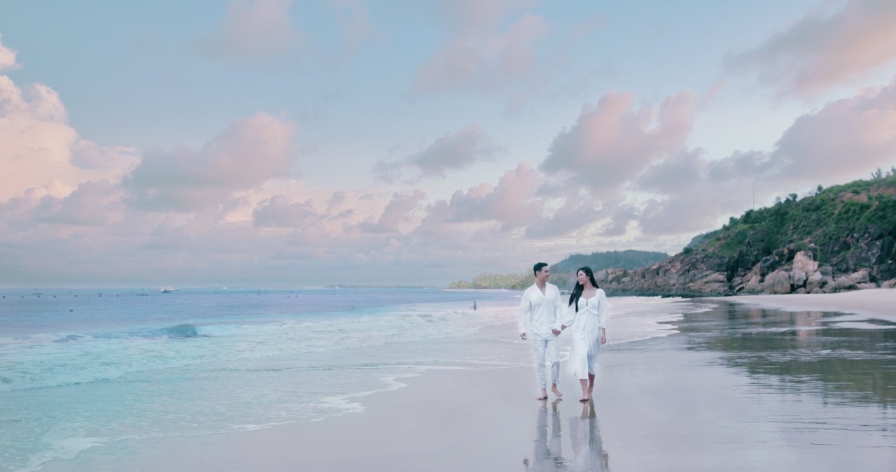 Nhon Hoi New City,  BDS Quy Nhon anh 2