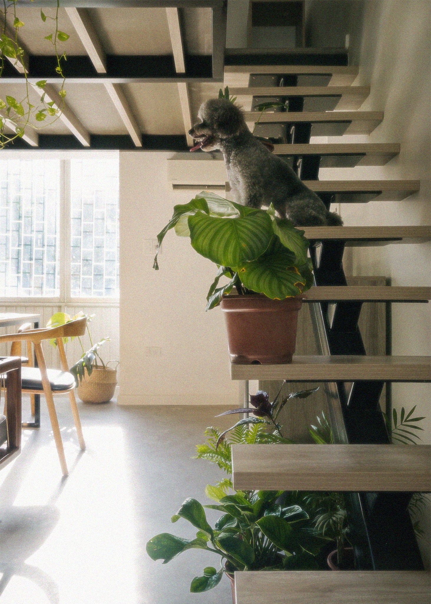 thiet ke can ho,  nha dep anh 6