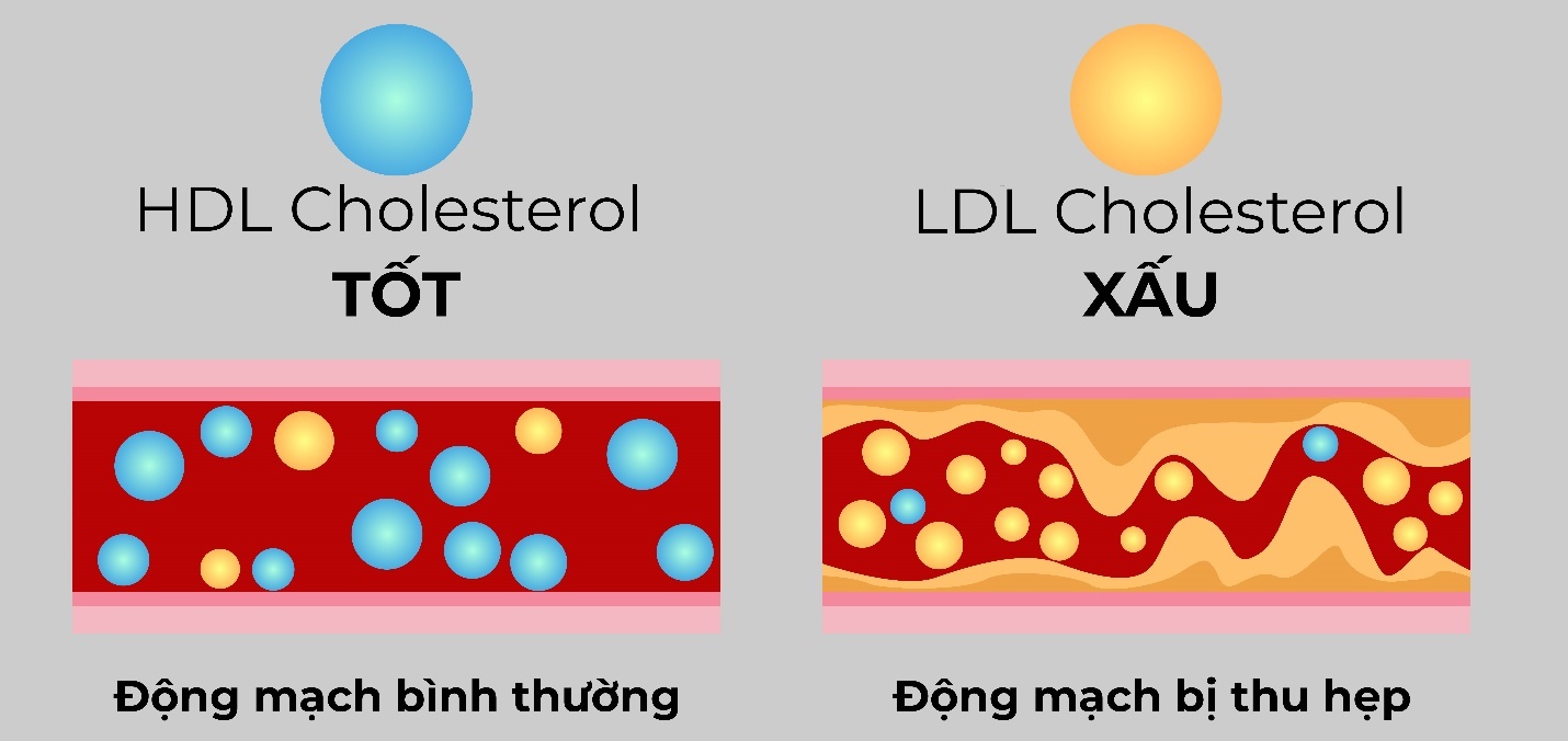 Duoc Hau Giang anh 1