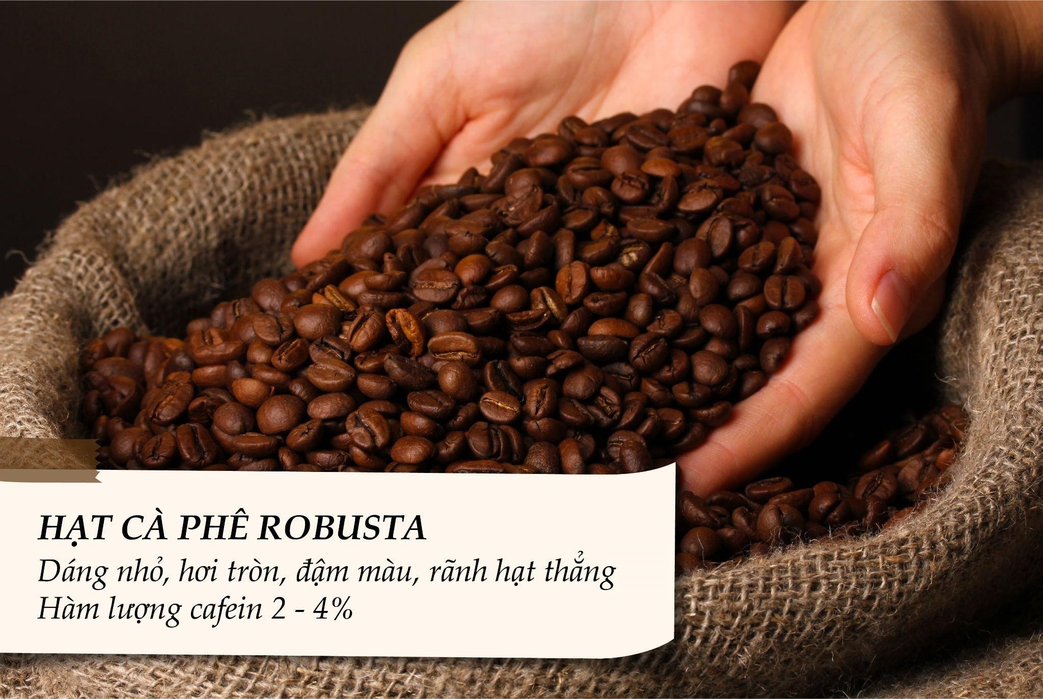 Ca phe The Coffee House anh 2