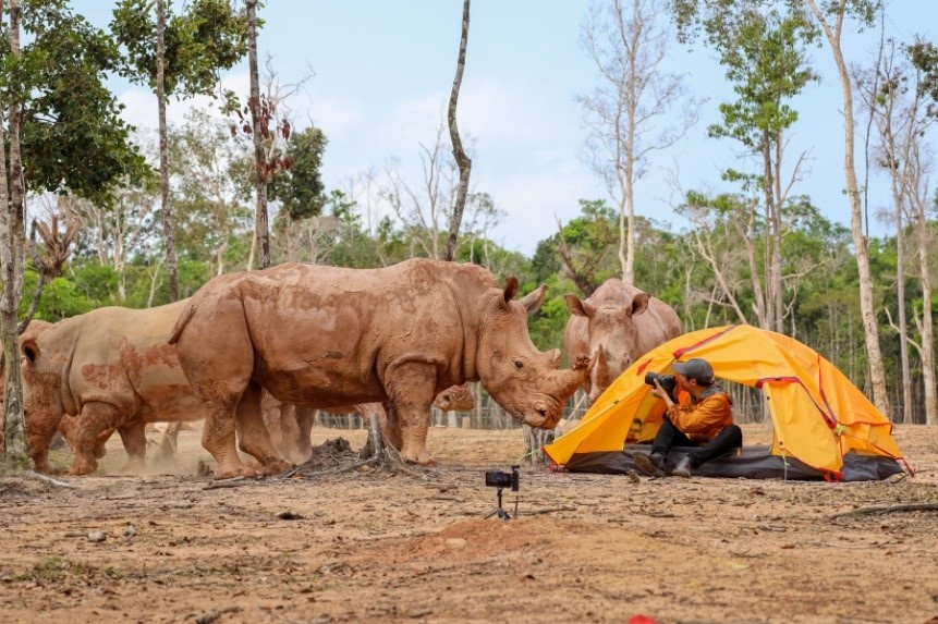 du lịch ảnh 3 du lich anh 3