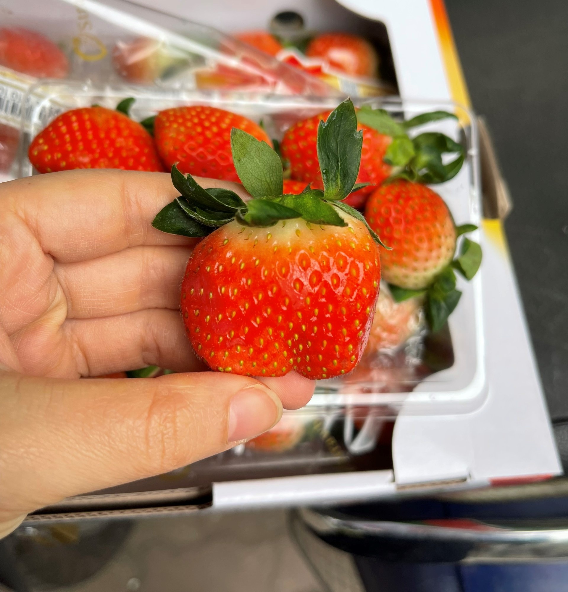 Biovegi Viet Nam,   Kfood Han Quoc anh 1