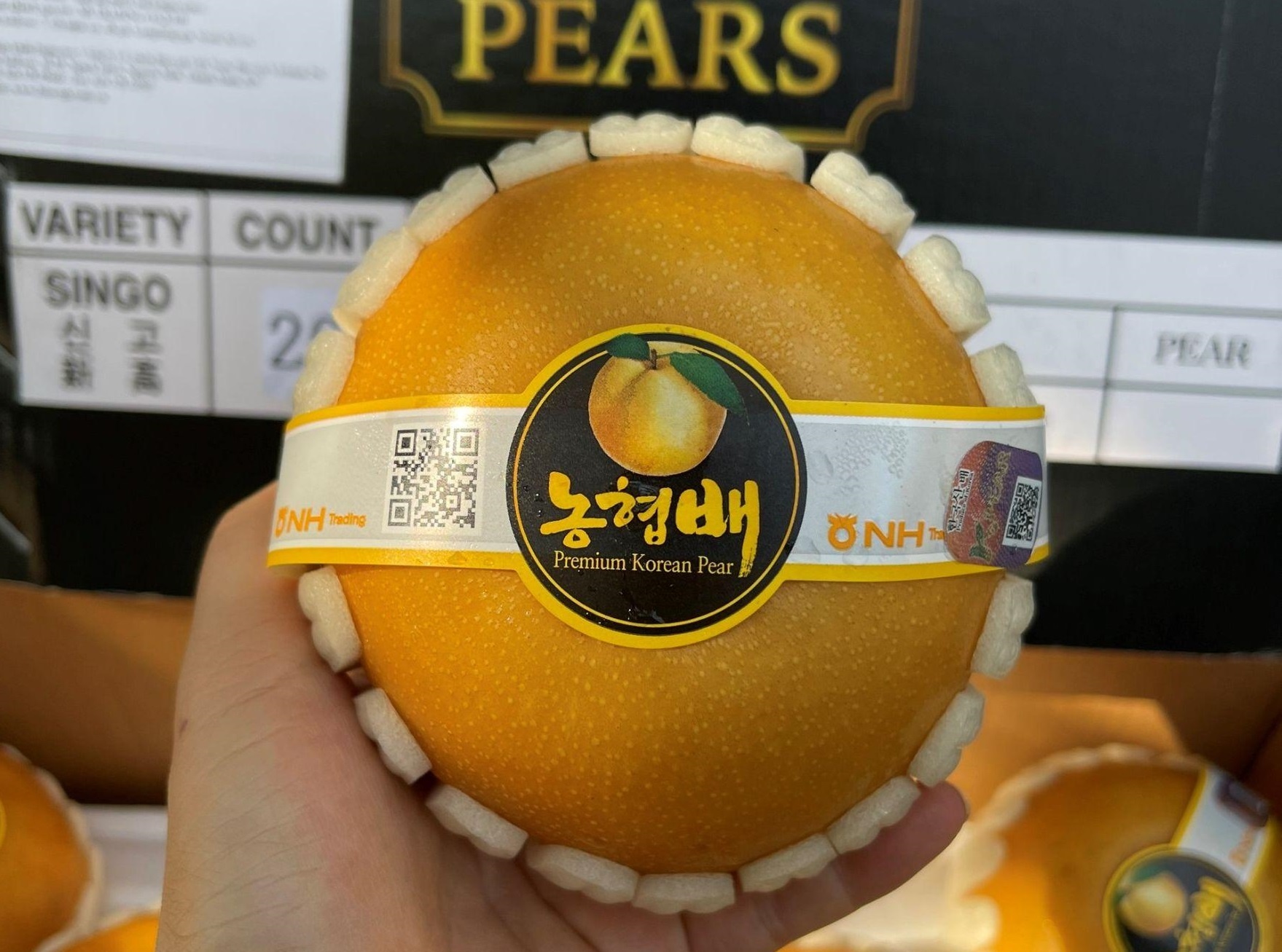 Biovegi huong dan chon dau tay va le chuan Han Quoc hinh anh