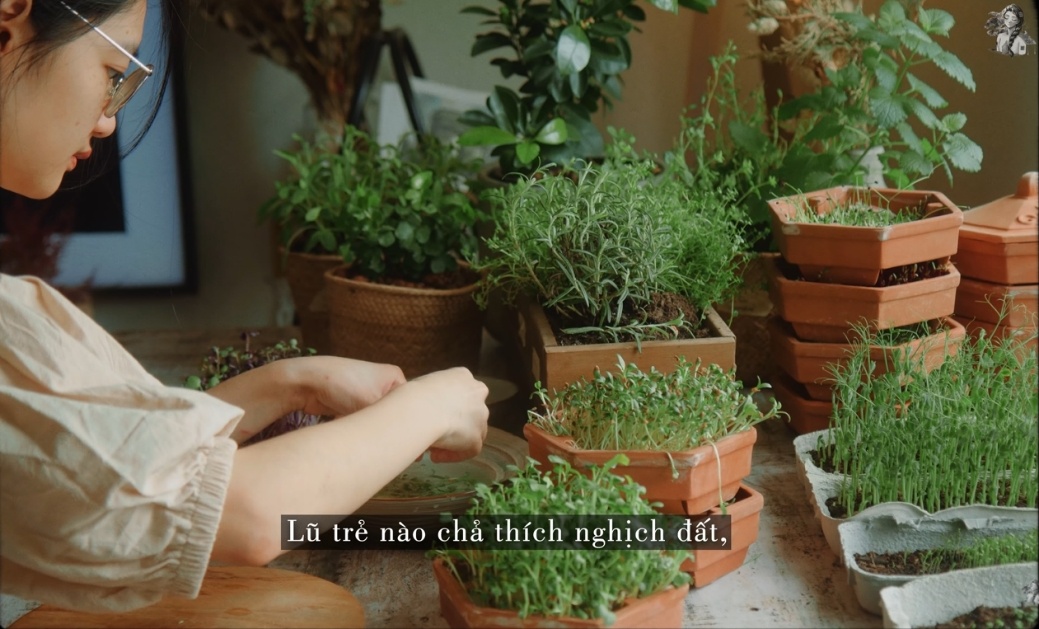 OMO ảnh 2 OMO anh 2