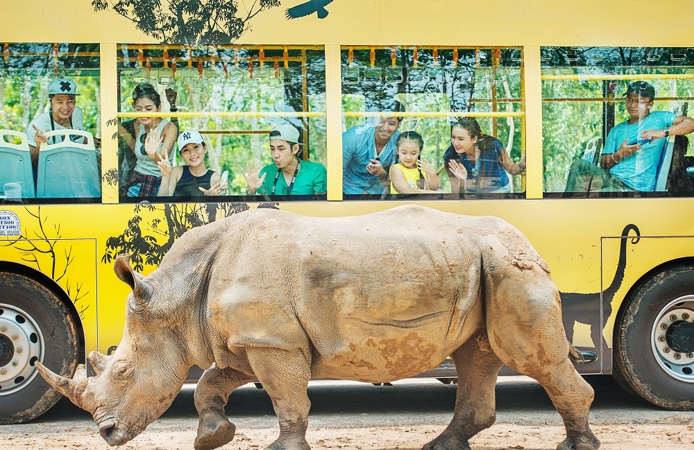 du lịch an toàn,  bình thường mới ảnh 9 du lich an toan,  binh thuong moi anh 9