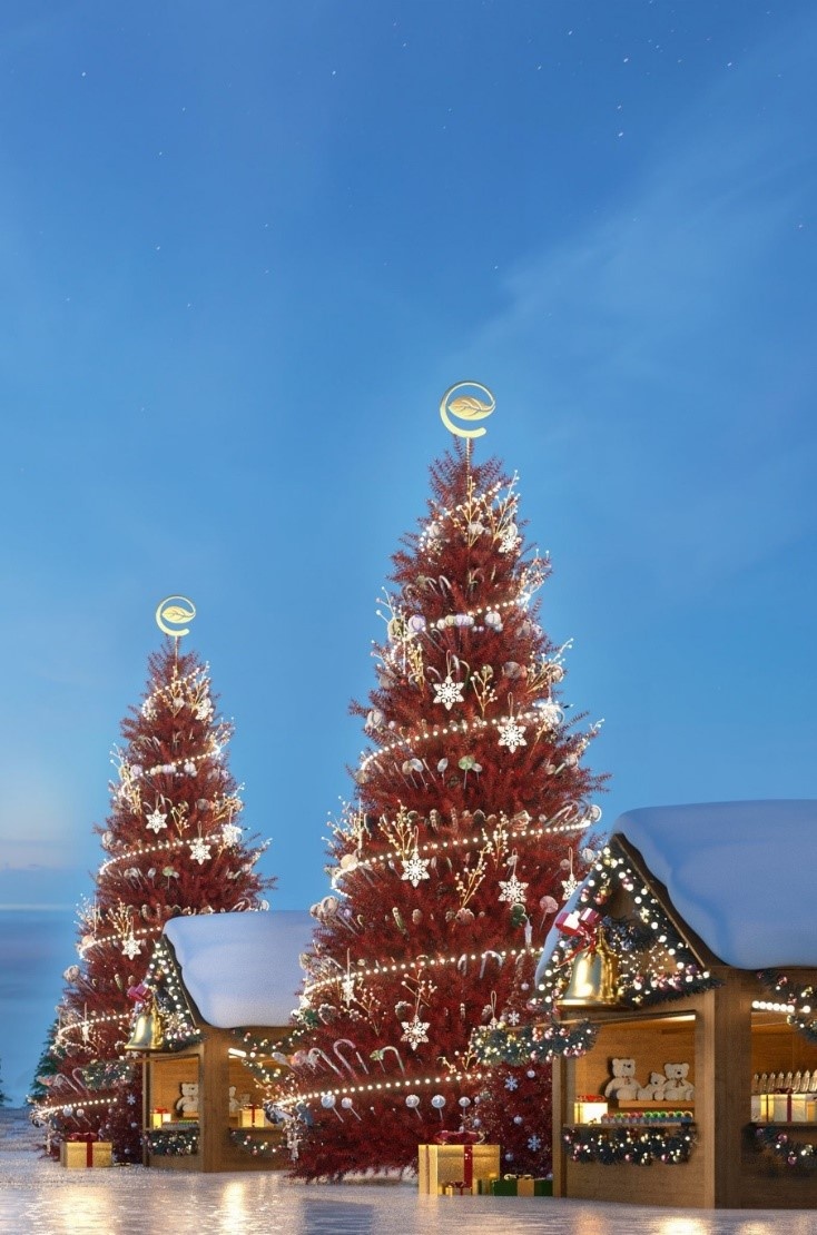 cây thông, làng kẹo ngọt ảnh 2 cay thong, lang keo ngot anh 2