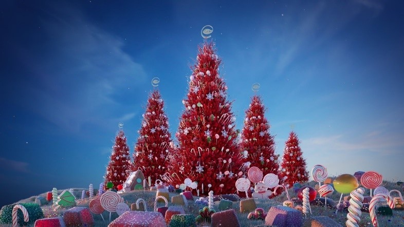 cây thông, làng kẹo ngọt ảnh 3 cay thong, lang keo ngot anh 3