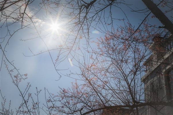 Sun World Fansipan Legend,  Hotel De La Coupole-MGallery Sa Pa anh 4