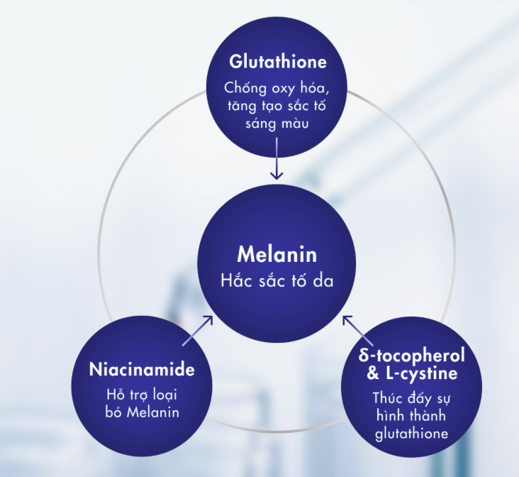 Rohto Nhật Bản,  D-na ảnh 3 Rohto Nhat Ban,  D-na anh 3