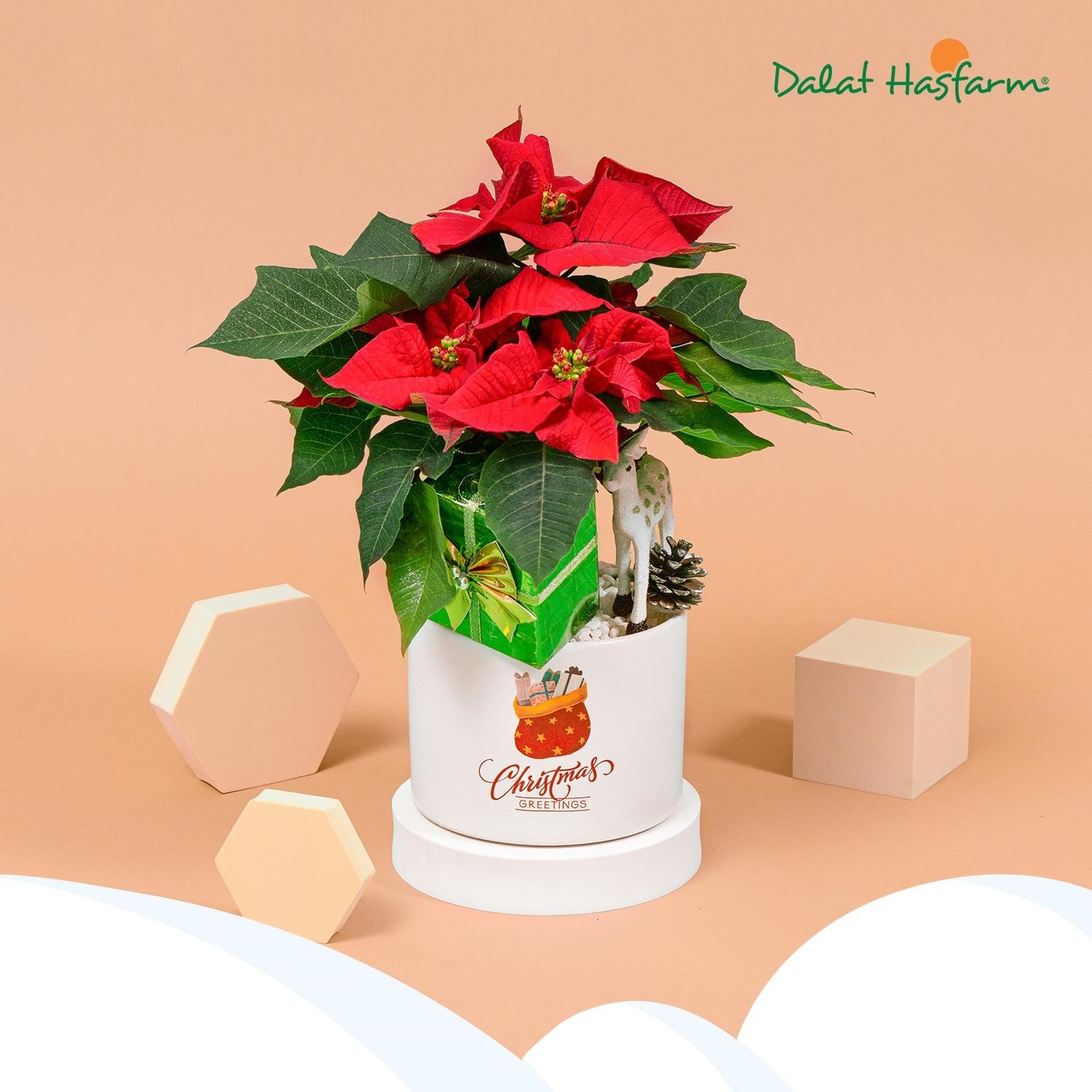 Dalat Hasfarm khai truong cua hang anh 3