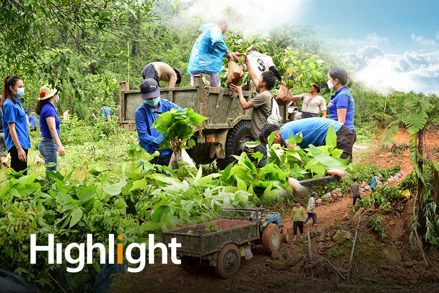 Muc tieu trong 30.000 cay cho rung dau nguon 'vi Viet Nam xanh' hinh anh