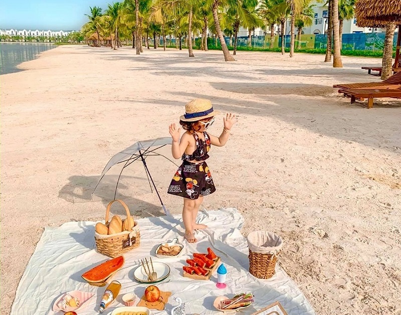 Vinhomes,  Vingroup anh 6