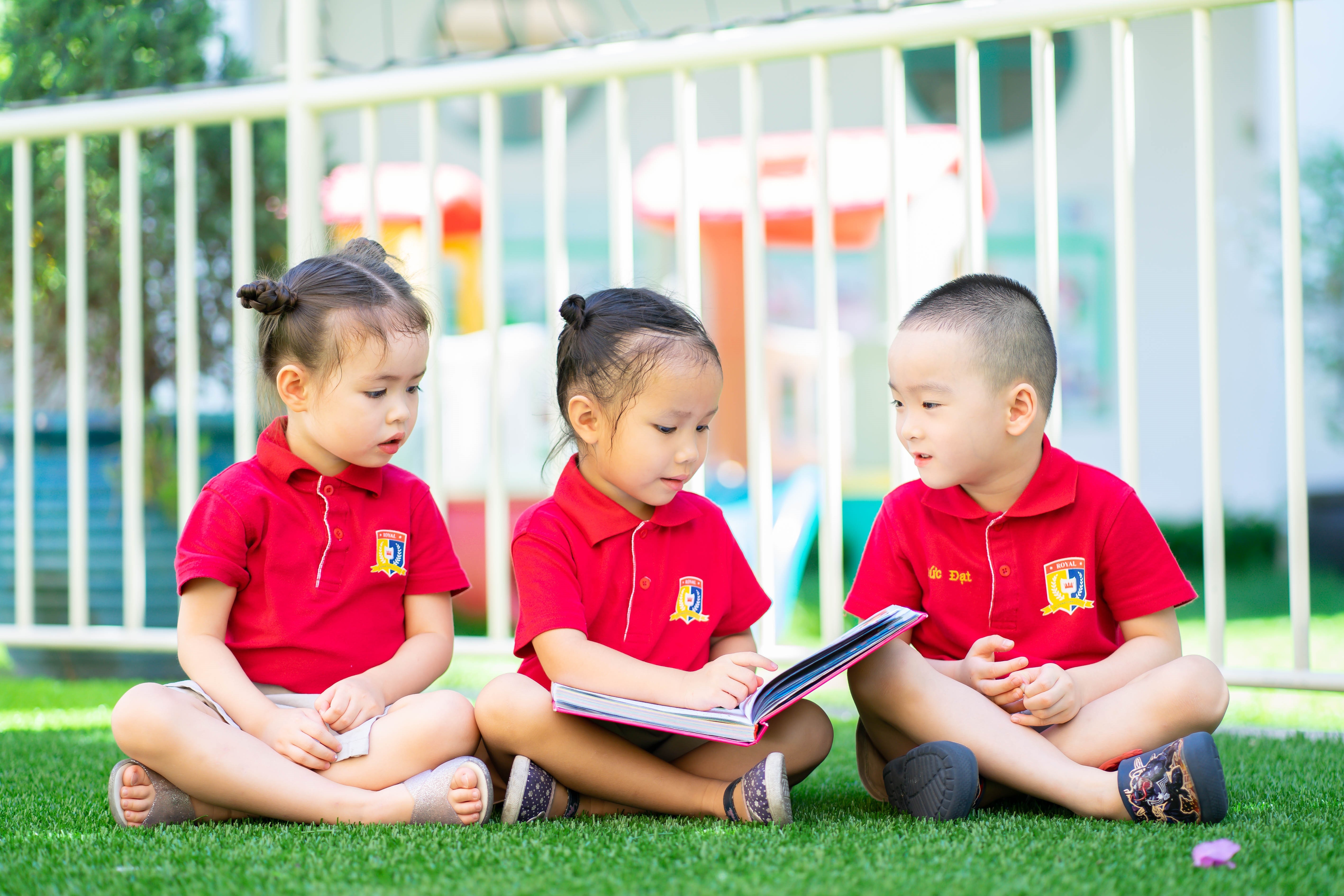 Royal School ảnh 4 Royal School anh 4