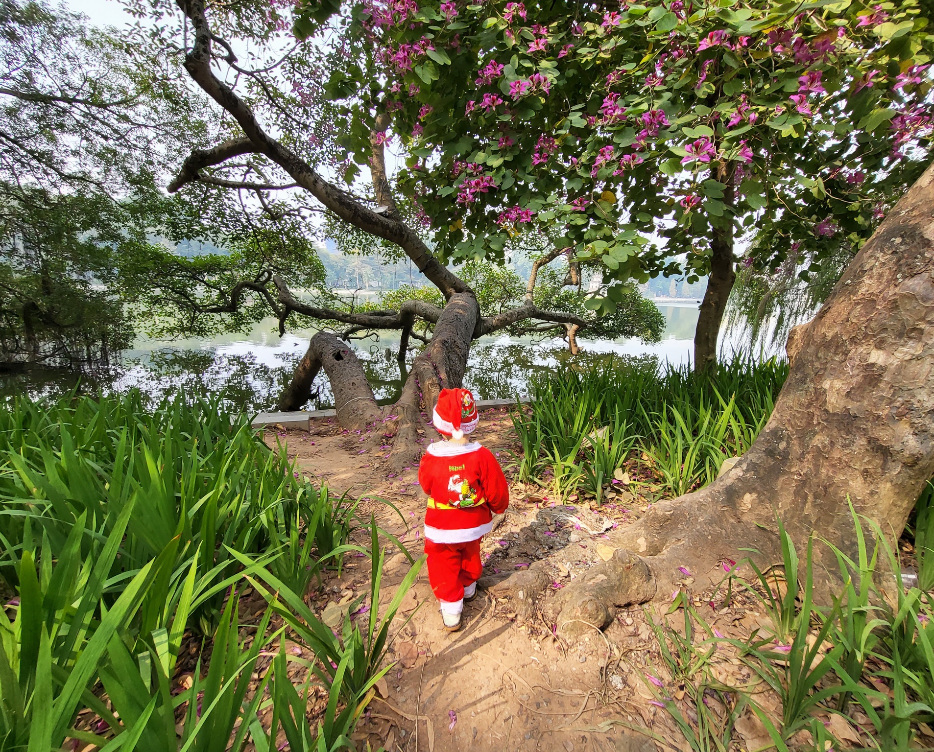 mua dong Ha Noi,  Tet Ha Noi anh 5