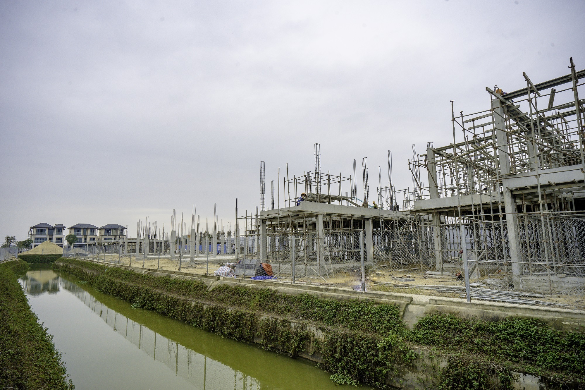 Regal Victoria,  Dat Xanh Mien Trung anh 1