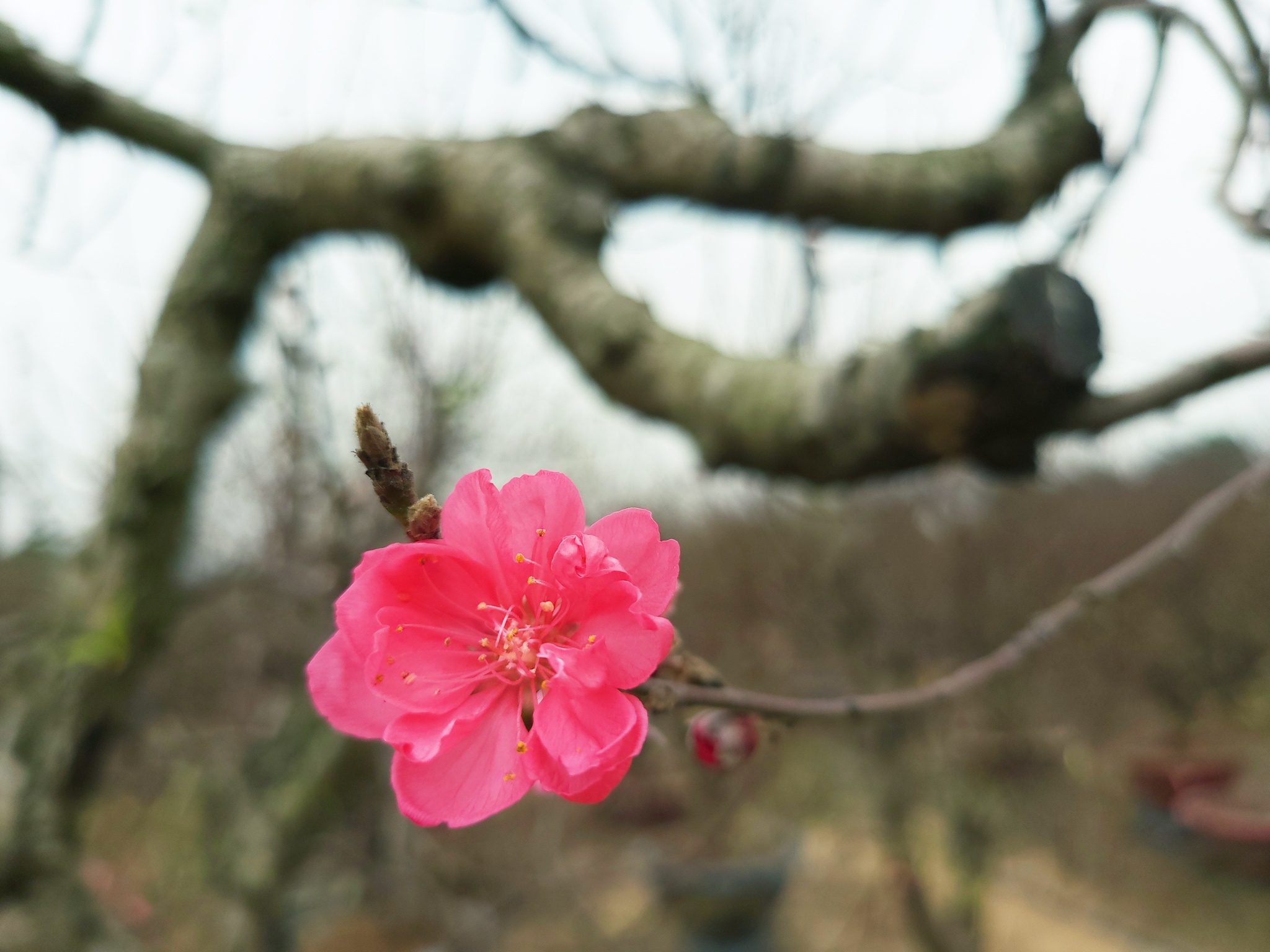 dao quanh Ha Noi cung Galaxy Z Fold3 anh 6