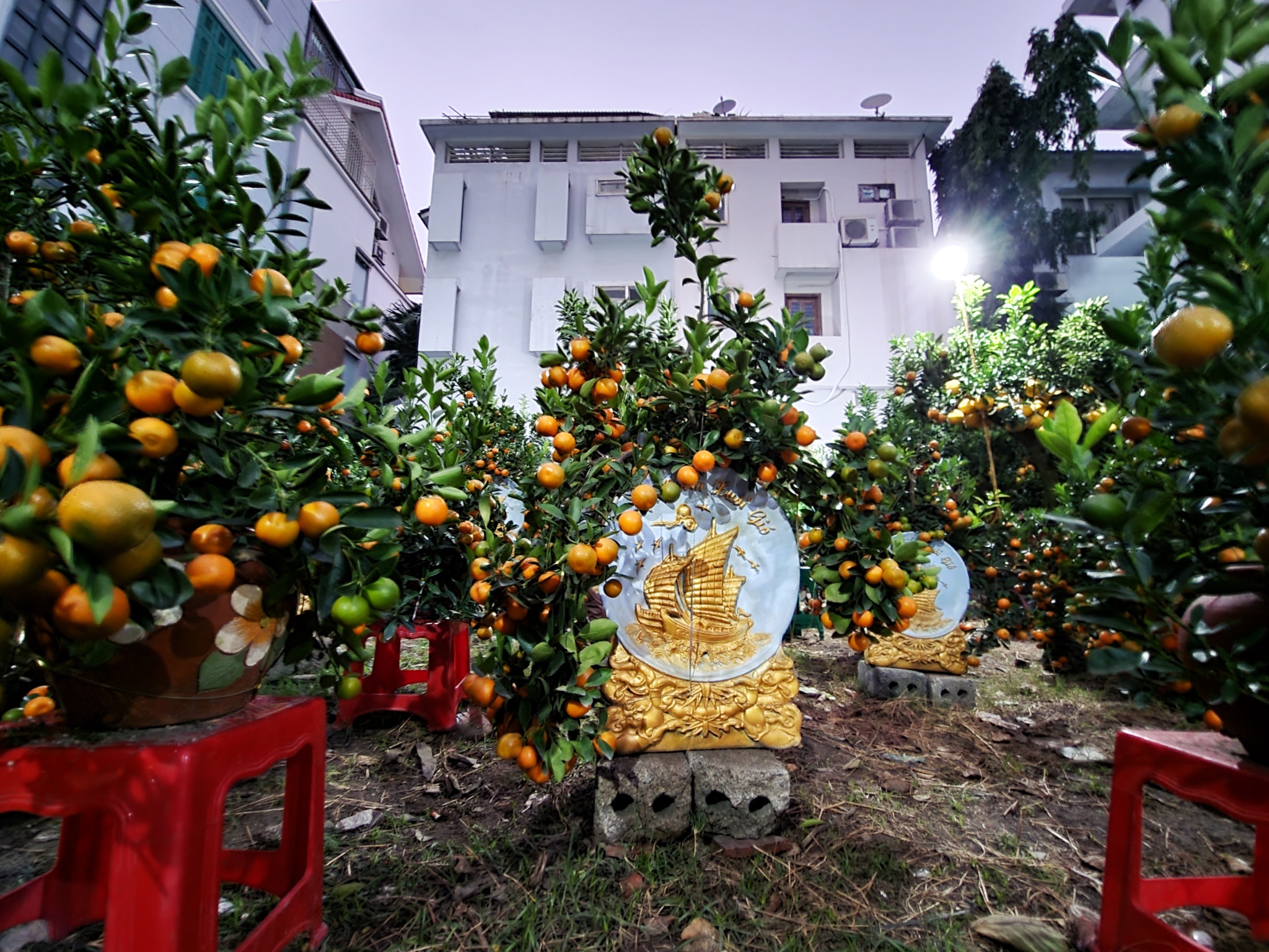 dao quanh Ha Noi cung Galaxy Z Fold3 anh 8