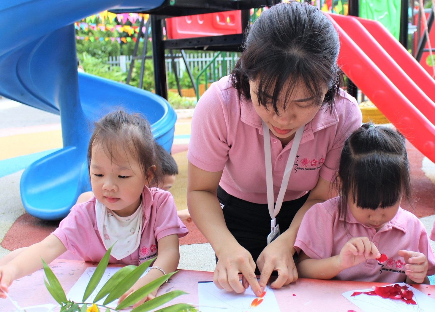 Sakura Montessori ảnh 1 Sakura Montessori anh 1