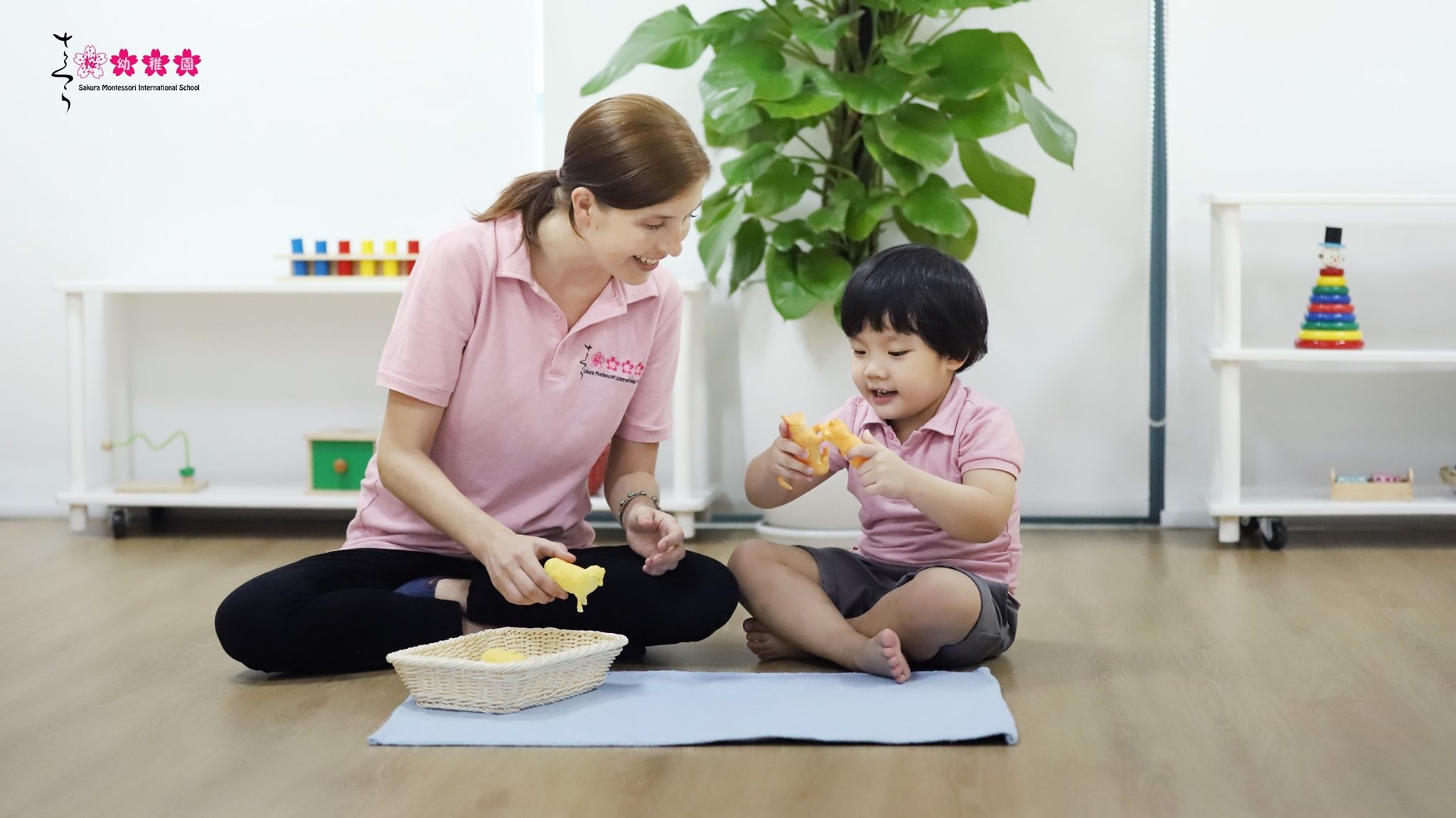 Sakura Montessori ảnh 3 Sakura Montessori anh 3