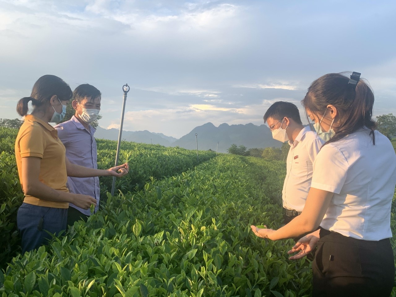 Agribank han che tin dung den anh 2