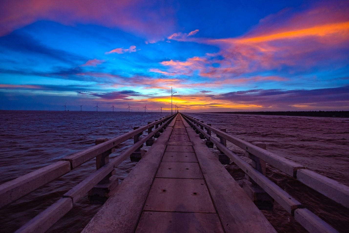 Marathon Tra Vinh anh 1