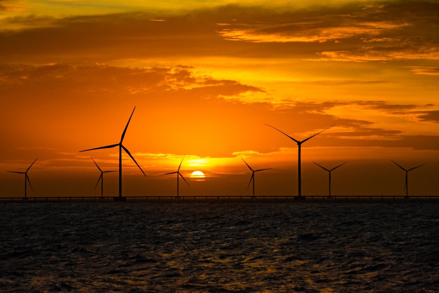 Trai nghiem cung duong marathon tren bien dai 42 km hinh anh
