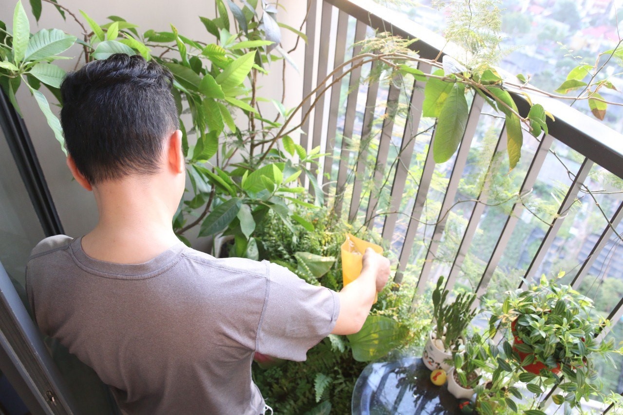 Phuong phap loc mang bung anh 2