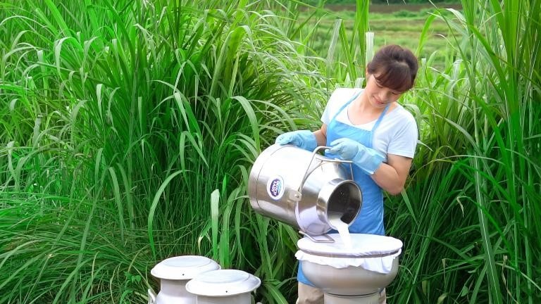 Co Gai Ha Lan,  sua tuoi anh 3