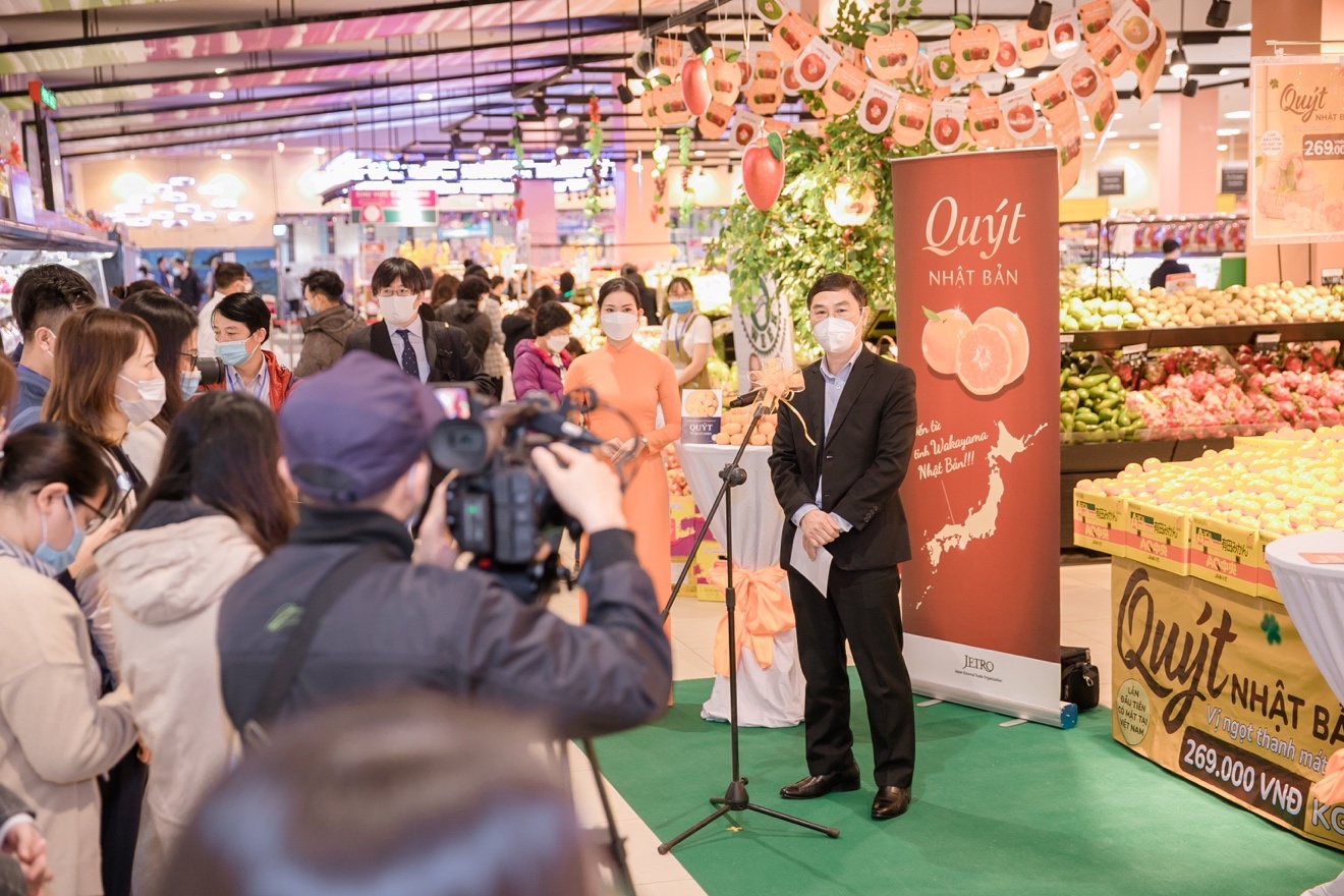 quyt Unshu Nhat Ban,  quyt Wakayama anh 1