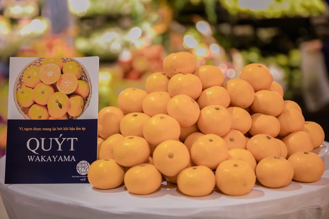 quyt Unshu Nhat Ban,  quyt Wakayama anh 2